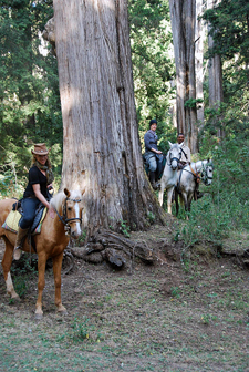 Ethiopia-Higlands-Ethiopian Highlands Ride